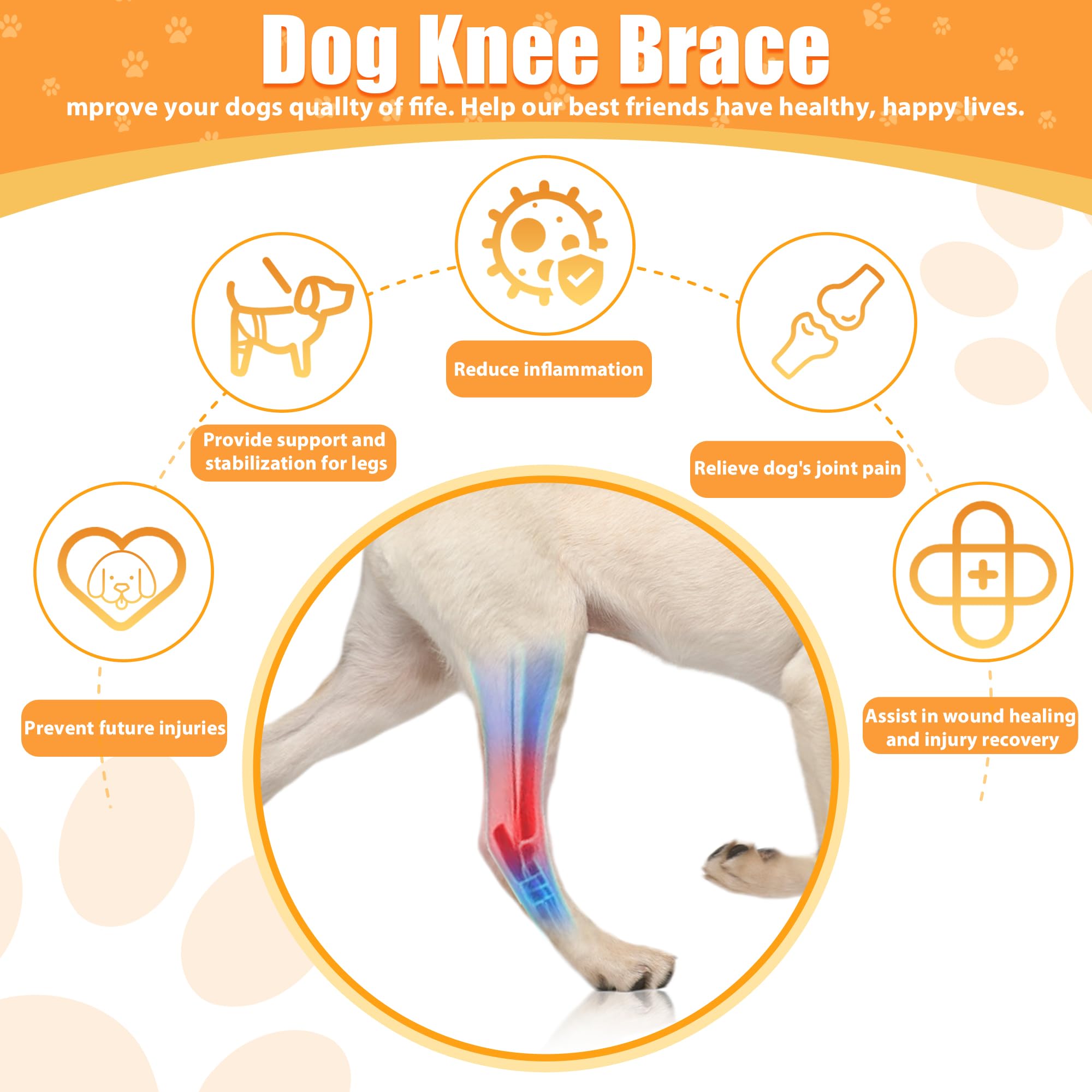 tisueteyi Dog Leg Braces for Front and Back Torn ACL Hind Leg, Rear Leg Joint Care Injury Support for Dogs Luxating Patella, Dog Arthritis, Hip Dysplasia, Adjustable Dog Acl Brace Size M