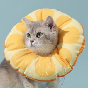 yyanniwani cat recovery soft collar.waterproof soft recovery cone collar. anti-bite and anti-lick wound healing safe adjustable elizabethan collar.(m)