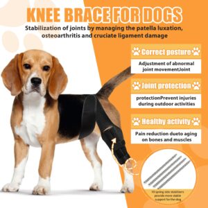 tisueteyi Dog Leg Braces for Front and Back Torn ACL Hind Leg, Rear Leg Joint Care Injury Support for Dogs Luxating Patella, Dog Arthritis, Hip Dysplasia, Adjustable Dog Acl Brace Size M