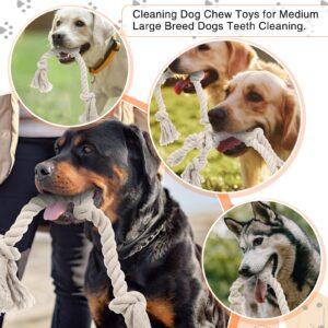 Glimin 4 Pcs Natural Cotton Rope Dog Toys White Tough Dog Rope Toy for Aggressive Chewers Interactive Knot Dog Toys for Large Dog Tug of War Dog Toy Heavy Duty Pet Supplies for Teeth Cleaning