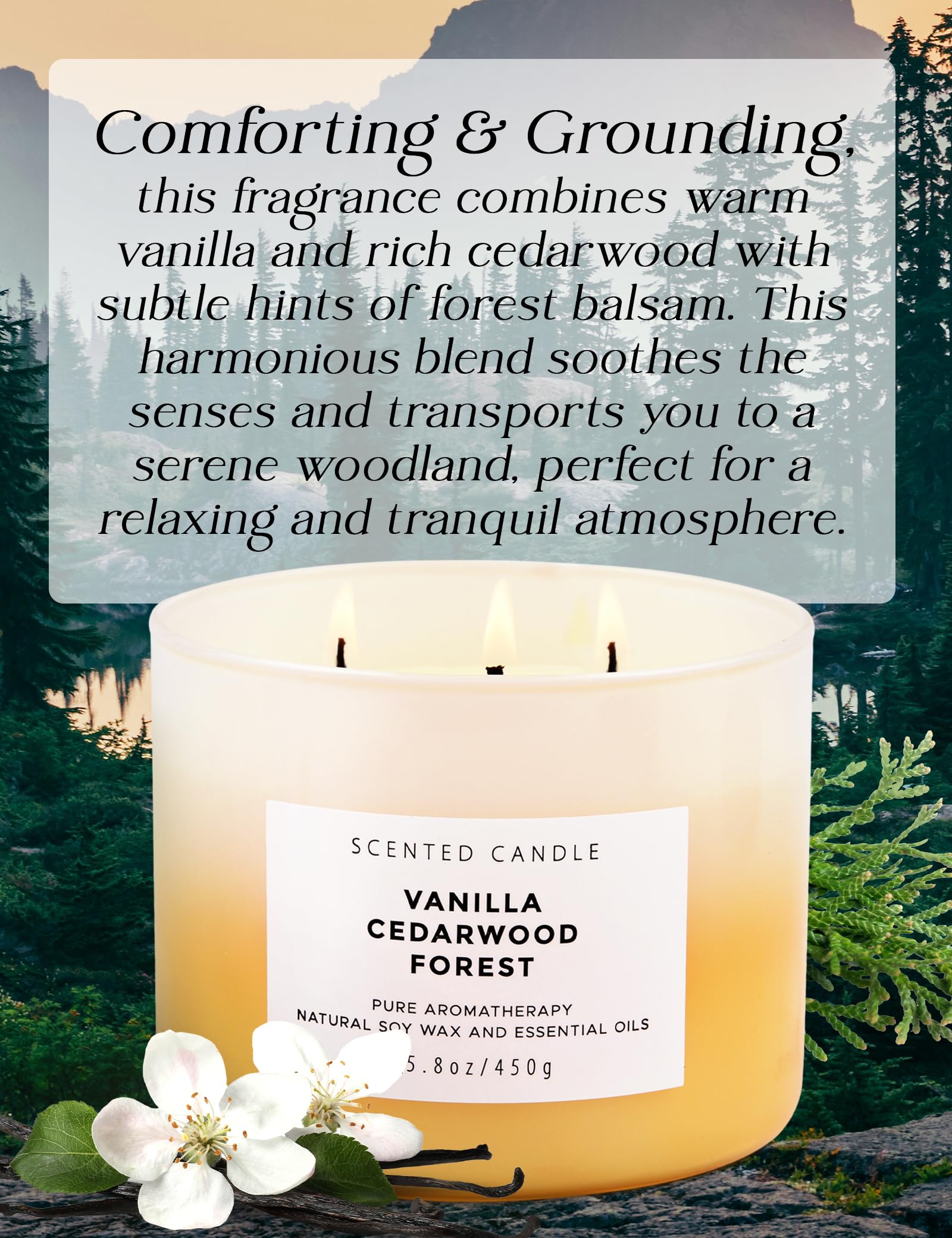 Vanilla Cedarwood Forest Candle - Large 3 Wick Scented Candle - Winter Balsam Fir Candle with Clove & Cedar - Natural Soy Candle for Home 15.8 oz - Aromatherapy Holiday Candle Gift for Women & Men