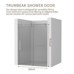 Trumbeak Shower Door 56-60" W x 76" H Frameless Shower Door,Sliding Shower Door with 5/16"(8mm) Clear Tempered Glass,Glass Shower Door w/Seal Strip Parts and Handle,Stainless Steel Hardware,Silvery