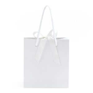 SHYRABBIT 10pcs White Gift Bags with Handles,7.9x3.1x9.1Inch Cosmetics Paper Bags,Gift Bags,White gift bags with Bow,Christmas Gift Bags, shopping Paper bags