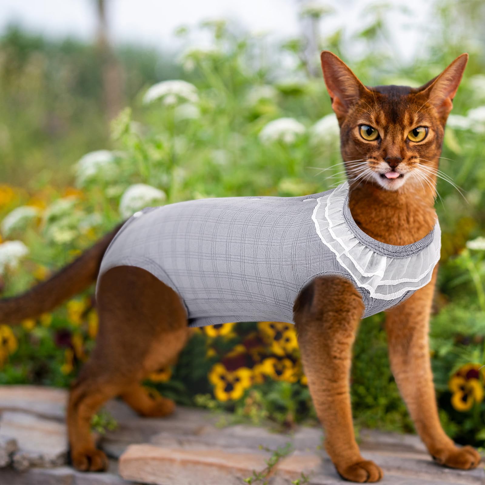 ASENKU Cat Recovery Suit, Cat Surgery Recovery Shirt Female After Surgery for Abdominal Wounds,Cat Onesie Anti Licking Wounds, E-Collar Alternative for Female Cats Kitten