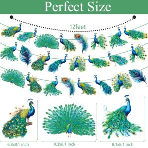 Peacock Party Banner Peacock Birthday Party Decorations Peacock Cutout Banner Peacock Birthday Party Supplies for Zoo Bird Theme Baby Shower Supplies