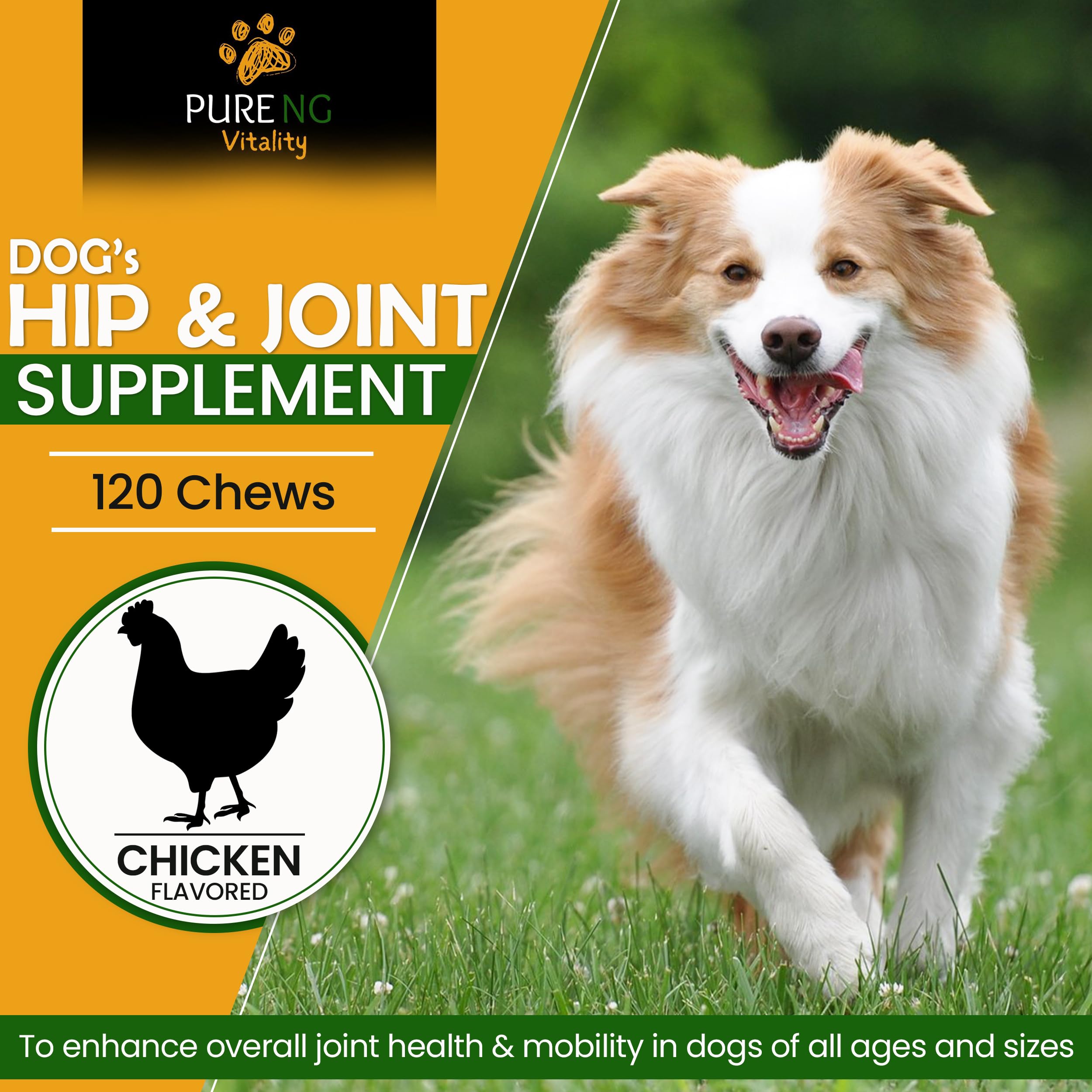 Dog Hip and Joint Supplement - 120 Chicken Flavored Chews | Includes Glucosamine Chondroitin for Dogs | Joint Supplement for Dogs | Dog Vitamins and Supplements | Dog Pain Relief Anti Inflammatory