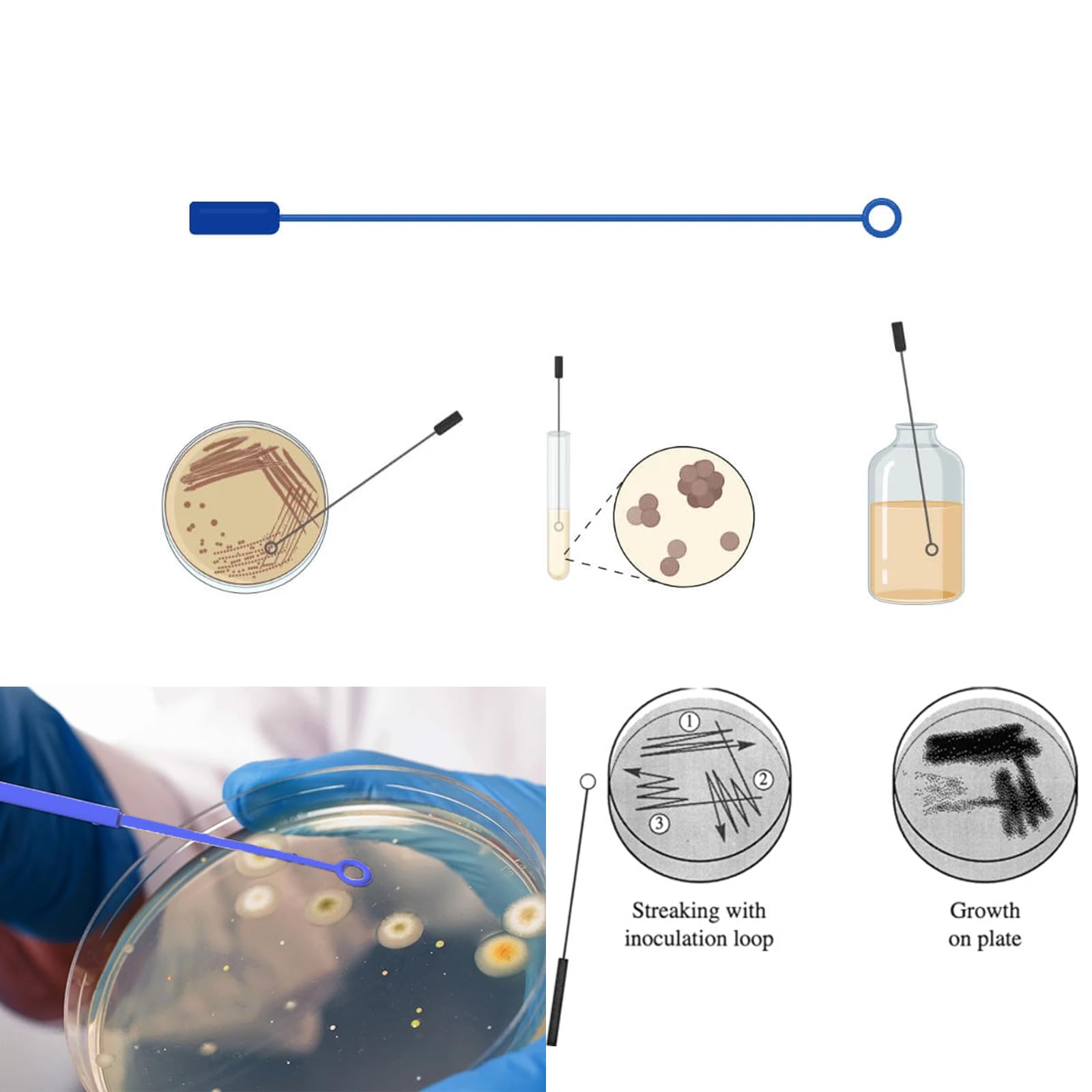 Estresen 30 PCS 90mm Plastic Petri Dish with Lids, Sterile with 10PCS 10uL Inoculation Loops