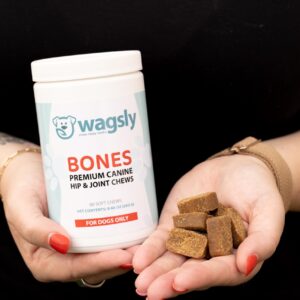 Wagsly Bones Hip & Joint Supplement for Dogs - Glucosamine, MSM, Green-Lipped Mussel - Arthritis Relief & Mobility Support - Vitamin C Immune Boost - Natural Duck Flavor - 60 Count