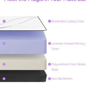 NAP&SLEEP Memory Foam Mattress - Lavender Infused with Cold Touch Cover, Medium Firm to Plush Feel, Helps with Sleep - Sizes Full, Queen, King, 10", 12", 14" (12" Medium, King (U.S. Standard))