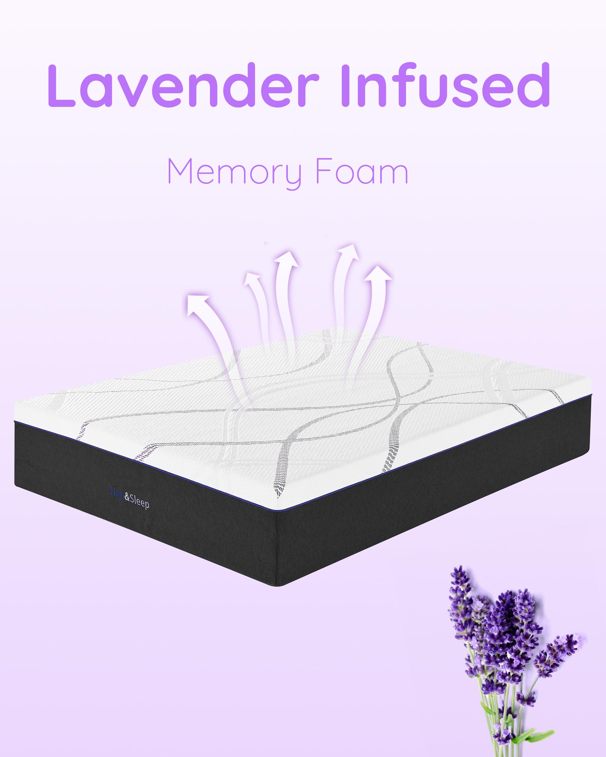 NAP&SLEEP Memory Foam Mattress - Lavender Infused with Cold Touch Cover, Medium Firm to Plush Feel, Helps with Sleep - Sizes Full, Queen, King, 10", 12", 14" (12" Medium, King (U.S. Standard))