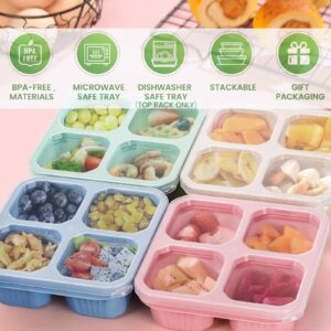 Kakating Bento Snack Boxes 4-Pack 4 Compartment Condiment Containers | Adult Lunchable Containers (4)