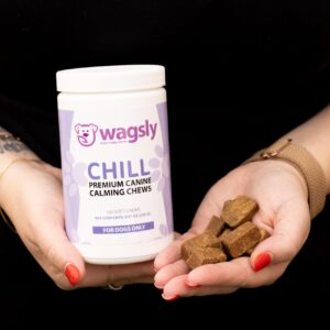 Wagsly Chill: Calming Chews for Dogs | Thiamine, Tryptophan, Lemon Balm, Green Tea Extract – 100 Count for Balanced Mood & Relaxation | Natural Calming Treats for Dogs