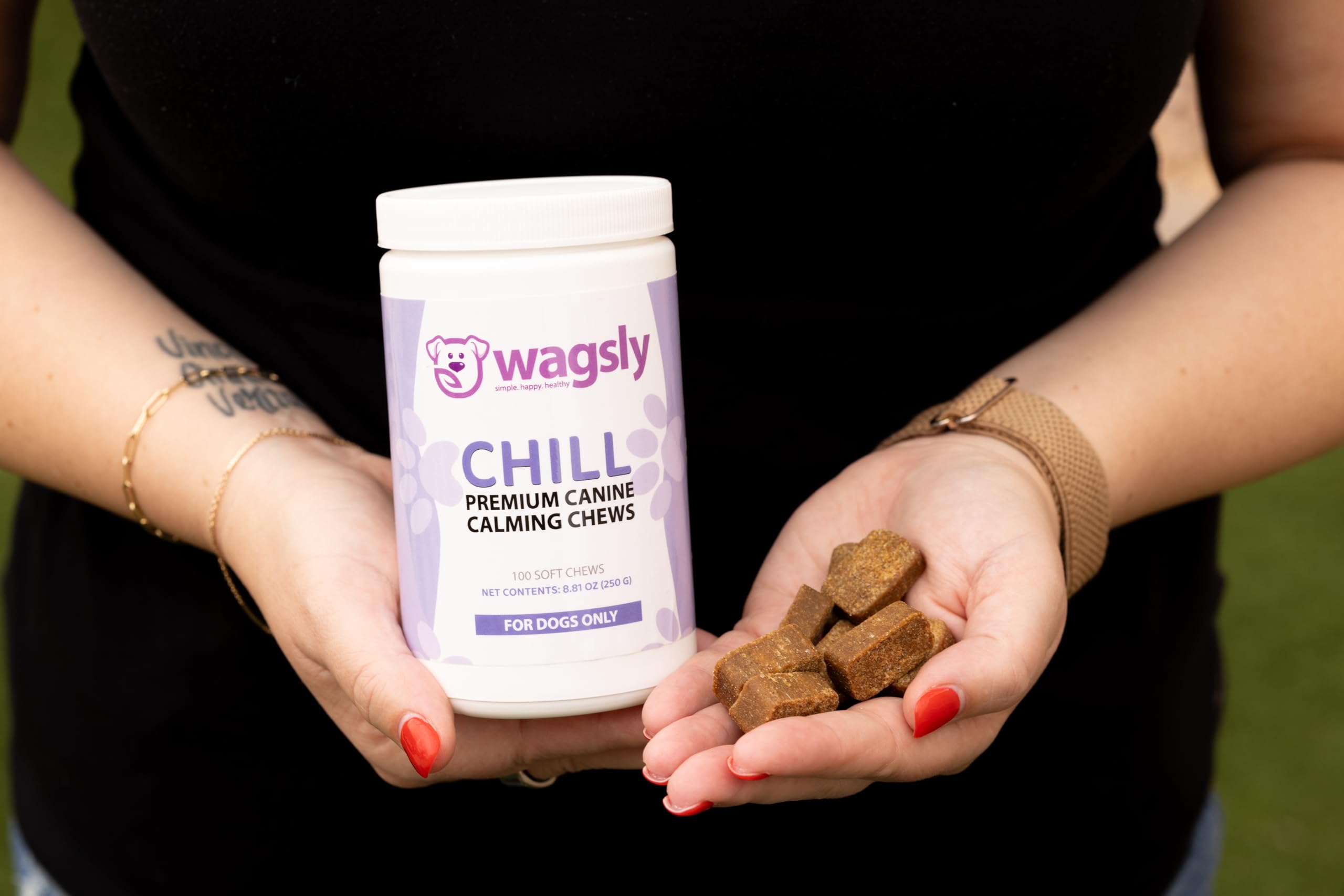 Wagsly Chill: Calming Chews for Dogs | Thiamine, Tryptophan, Lemon Balm, Green Tea Extract – 100 Count for Balanced Mood & Relaxation | Natural Calming Treats for Dogs