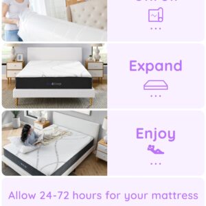 NAP&SLEEP Memory Foam Mattress - Lavender Infused with Cold Touch Cover, Medium Firm to Plush Feel, Helps with Sleep - Sizes Full, Queen, King, 10", 12", 14" (12" Medium, King (U.S. Standard))