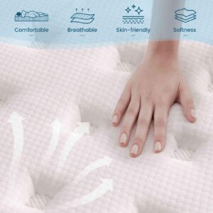 Vantto Queen Mattresses, 12 Inch Memory Foam Hybrid Mattress, Pocket Spring Mattress in a Box for Motion Isolation, Edge Support, Pressure Relief and Supportive, CertiPUR-US, 100 Nights Trial