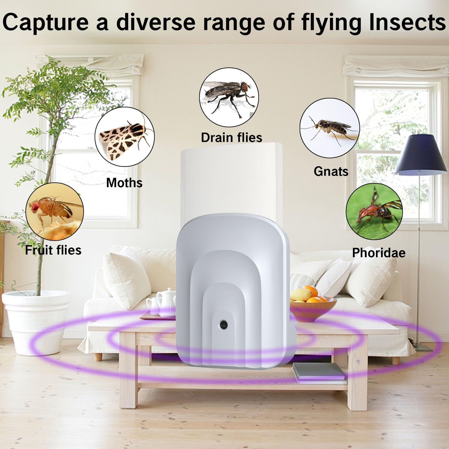 Indoor UV Light Fly Trap with 10 Glue Boards - Effective Plug-in Bug Trap for Houseflies and Gnats - Odorless and Mess-Free Fly Control Solution