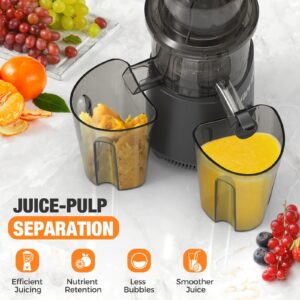 Cold Press Slow Masticating Juicer: Powerful Cold Pressed Juicer Machines Easy To Clean For Vegetable and Fruit, Grey