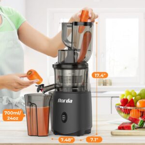 Cold Press Slow Masticating Juicer: Powerful Cold Pressed Juicer Machines Easy To Clean For Vegetable and Fruit, Grey