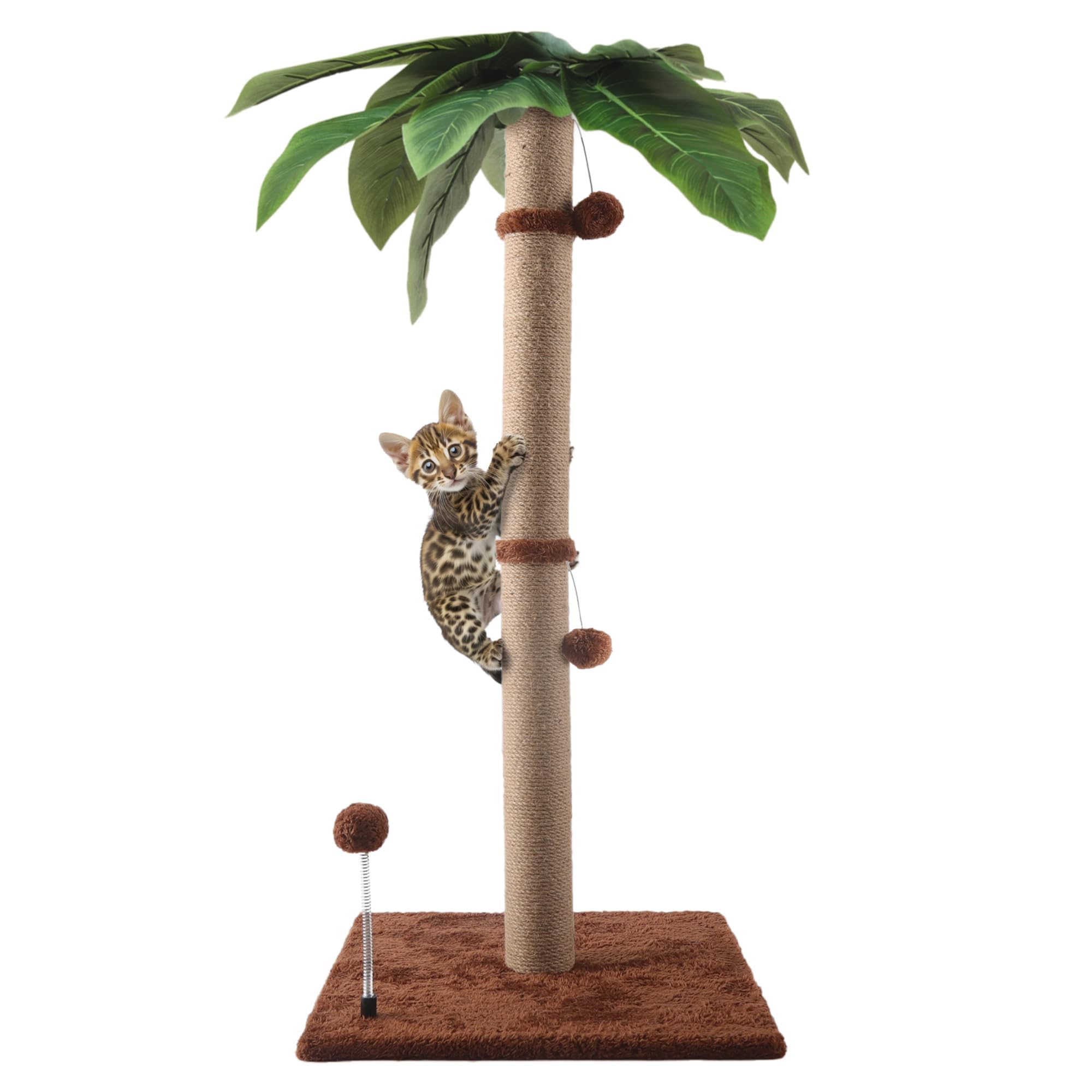 34'' Tall Palm Cat Tree, Cat Scratching Post, Kitten Cat Scratch Cute Scratcher for Indoor Cats with Hanging Dangling Toy Balls for Large Cats and Kittens, Brown