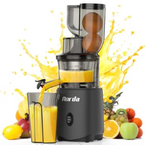 cold press slow masticating juicer: powerful cold pressed juicer machines easy to clean for vegetable and fruit, grey