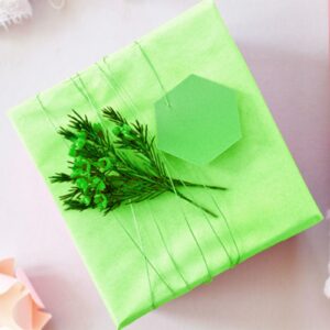 SardinYu 30 Sheets Wrapping Tissue Paper for Gift Bag Decoration Packaging DIY Supply Christmas Weddings Birthday Showers Arts Craft Party Favor (Grass Green, Green, Deep Green)