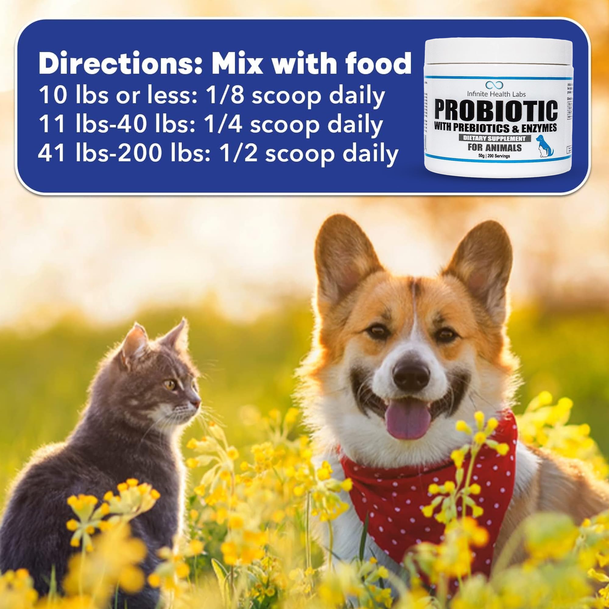 Probiotics for Dogs and Cats - Vet Formulated Made in USA Pet Prebiotic & Enzyme Powder for Digestive, Gut & Immune Health - 200 Servings (50 g)