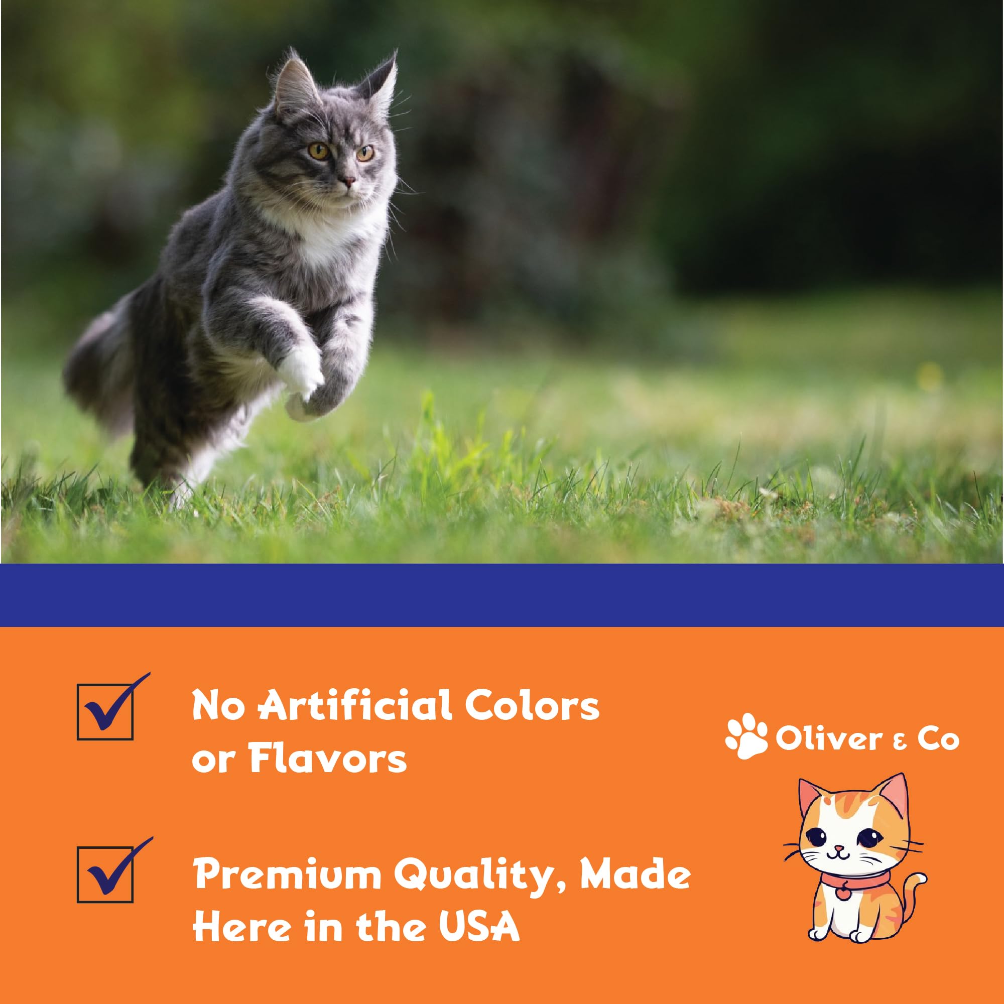 Natural Antibiotics for Cats - Cat Antibiotics - Cat Antibiotic - Pet Antibiotics - Cat Immune Support - Antibiotic for Cats - Cat Multivitamin - Cat UTI Antibiotics - 1 fl oz - Chicken Flavor