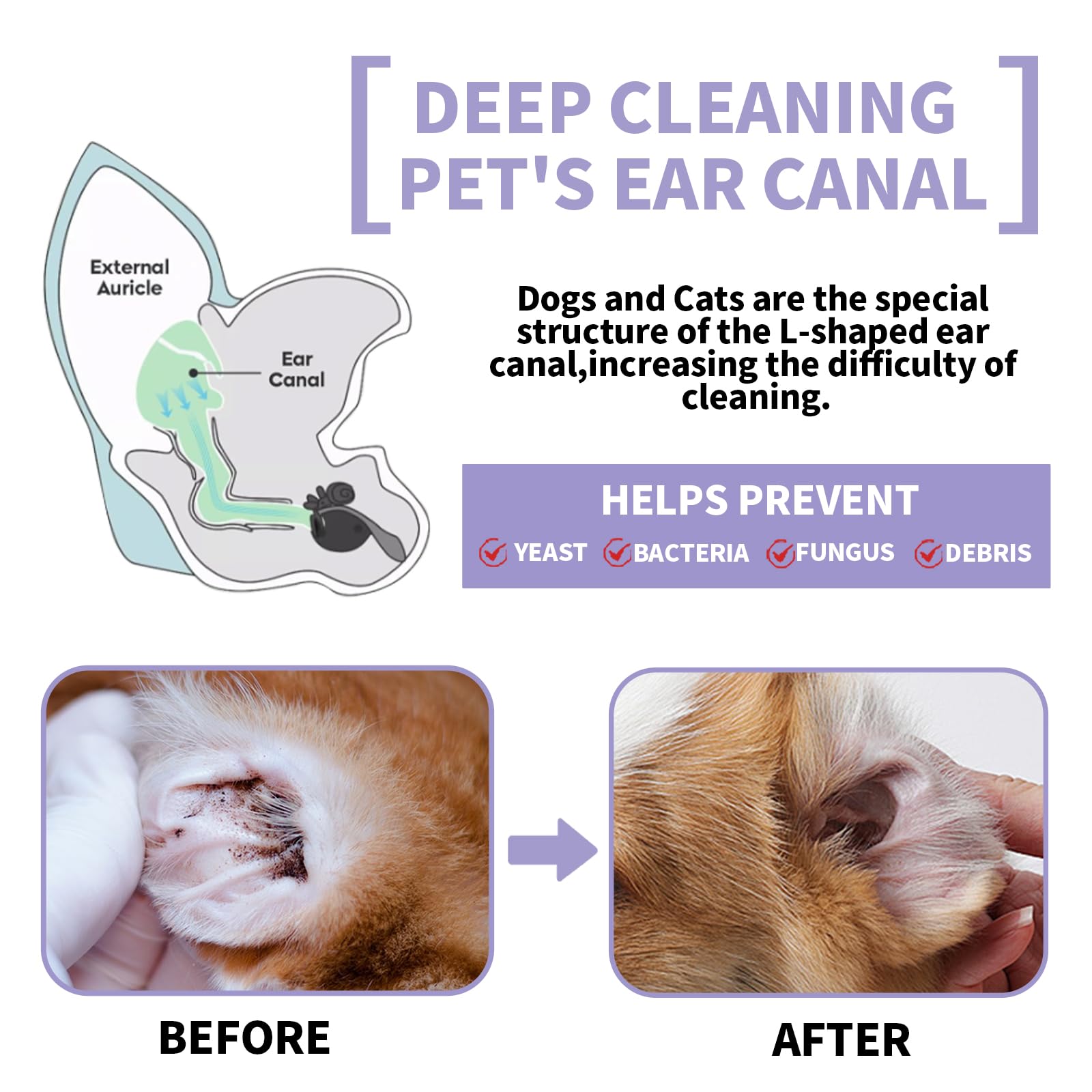 Dog Ear Cleaner, Dog Ear Cleaning Solution for Dog Ear Infection Treatment, Soothes Ear Inflammation, Itch Relief, Removes Wax, Odor, with 10 Cotton Swabs