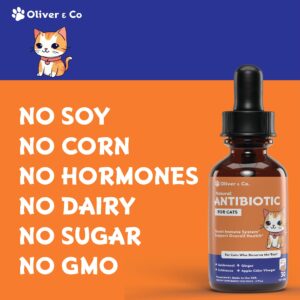 Natural Antibiotics for Cats - Cat Antibiotics - Cat Antibiotic - Pet Antibiotics - Cat Immune Support - Antibiotic for Cats - Cat Multivitamin - Cat UTI Antibiotics - 1 fl oz - Chicken Flavor