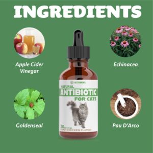 Natural Antibiotics for Cats | Cat Antibiotics for Infection | Cat Antibiotic | Cat Antibiotics | Antibiotic for Cats | Cat Antibiotics for UTI | Cat UTI | Cat UTI Treatment | 1 fl oz (1)