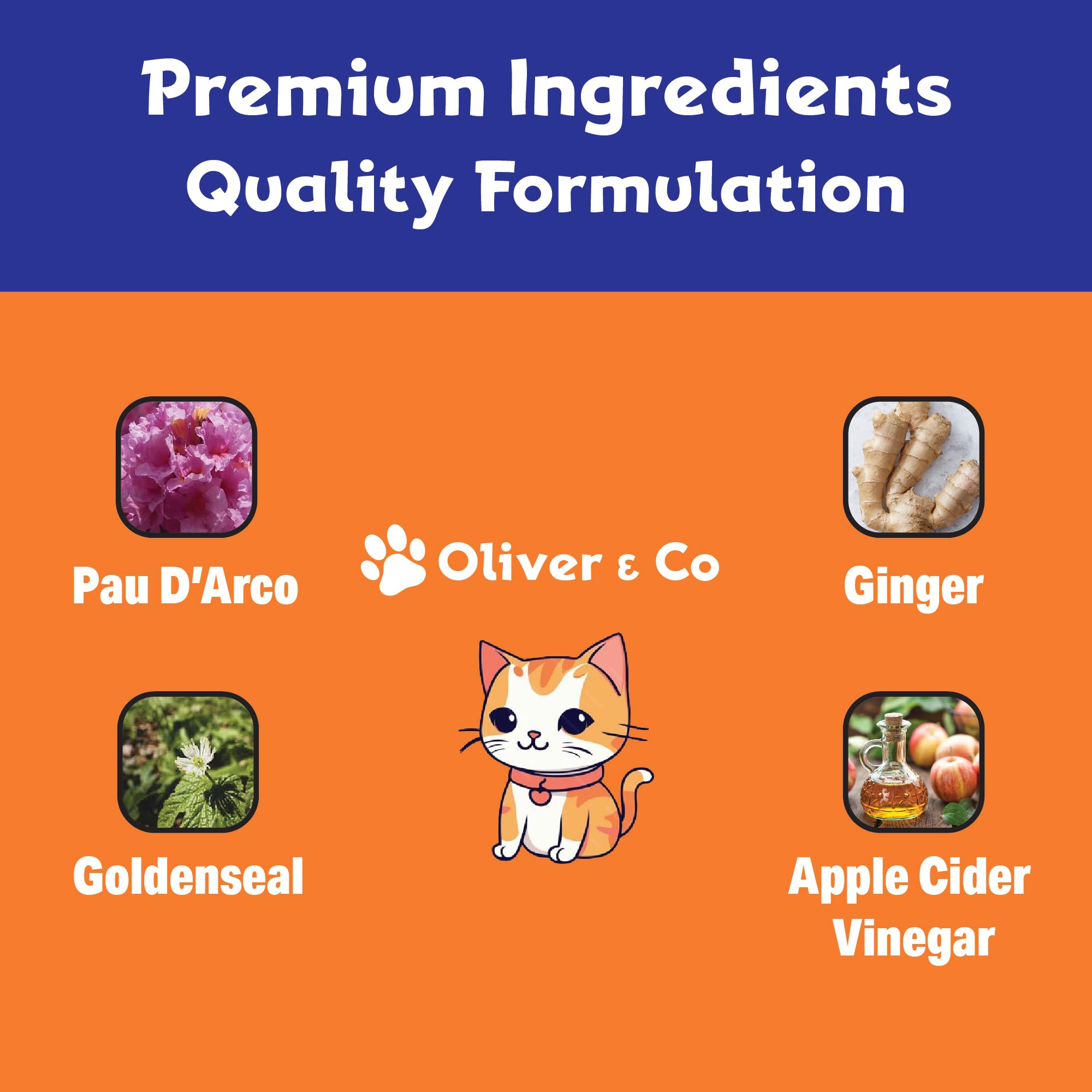 Natural Antibiotics for Cats - Cat Antibiotics - Cat Antibiotic - Pet Antibiotics - Cat Immune Support - Antibiotic for Cats - Cat Multivitamin - Cat UTI Antibiotics - 1 fl oz - Chicken Flavor