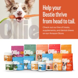 Ollie Soft Training Treats Variety Pack - Parmesan & Peanut Butter Recipe - Dog Training Treats All Natural - Healthy Dog Treats - 100% Human Grade - Baked in USA Kitchens 16 Oz.