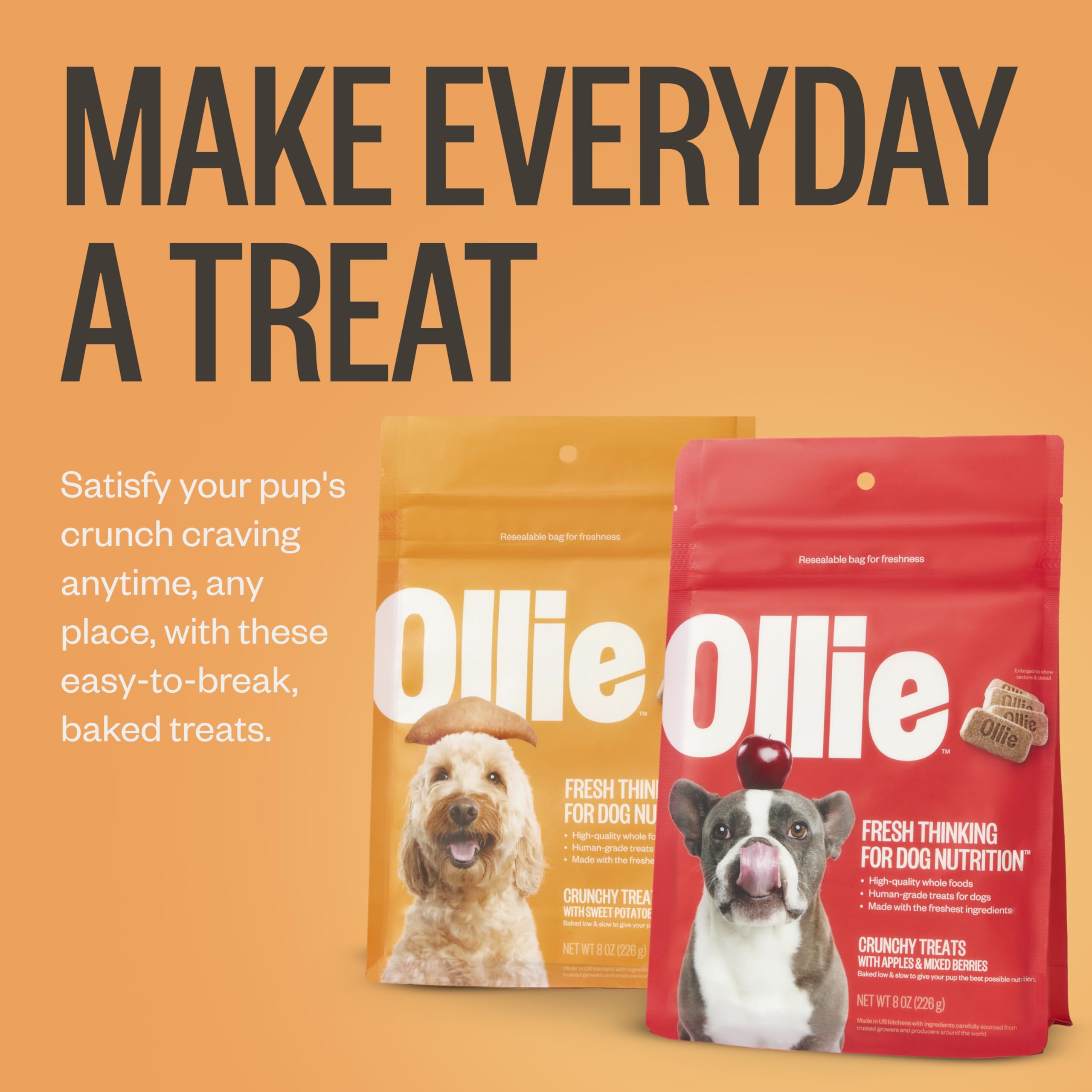 Ollie Crunchy Treats Variety Pack - Apple Berry & Sweet Potato Recipe - Crunchy Dog Treats All Natural - Healthy Dog Treats - 100% Human Grade - Baked in USA Kitchens 16 Oz.