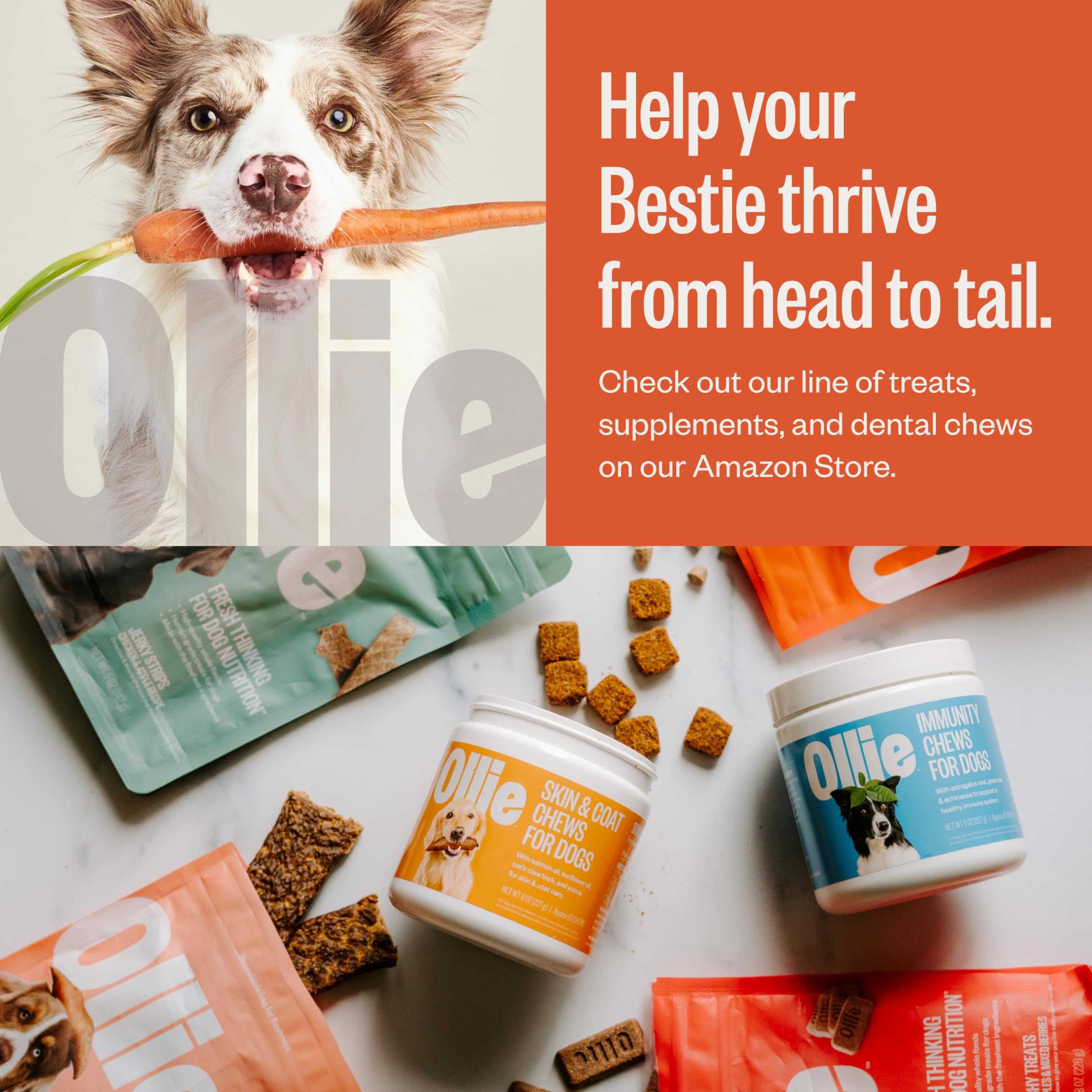 Ollie Soft Training Treats Variety Pack - Parmesan & Peanut Butter Recipe - Dog Training Treats All Natural - Healthy Dog Treats - 100% Human Grade - Baked in USA Kitchens 16 Oz.