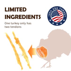 iPaw Turkey Tendon for Dogs, Ingredient Sourced from USA, Hypoallergenic, All Natural Human Grade Puppy Chew, Dog Treats for Signature Series, Rawhide Alternative, (Small) (Lollipop, Pack of 4 Units)