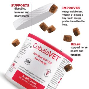 CobalaVet Vitamin B12 & B9 for Small Dogs & Cats - Supports The Nervous System, Brain Function, Immune Defenses & Cell Growth - Blood Cell Formation - Metabolic Pathway - 60 Soft Chews