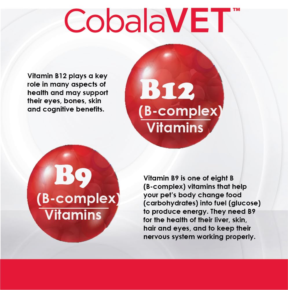 CobalaVet Vitamin B12 & B9 for Small Dogs & Cats - Supports The Nervous System, Brain Function, Immune Defenses & Cell Growth - Blood Cell Formation - Metabolic Pathway - 60 Soft Chews