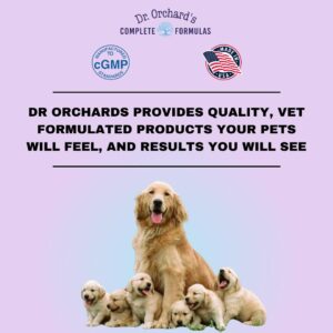 Dr Orchards Pregnancy Pro Premium Dog Supplement for Pregnancy, Prenatal + Postnatal, Lactation and Newborn Health Support, 90 Ct