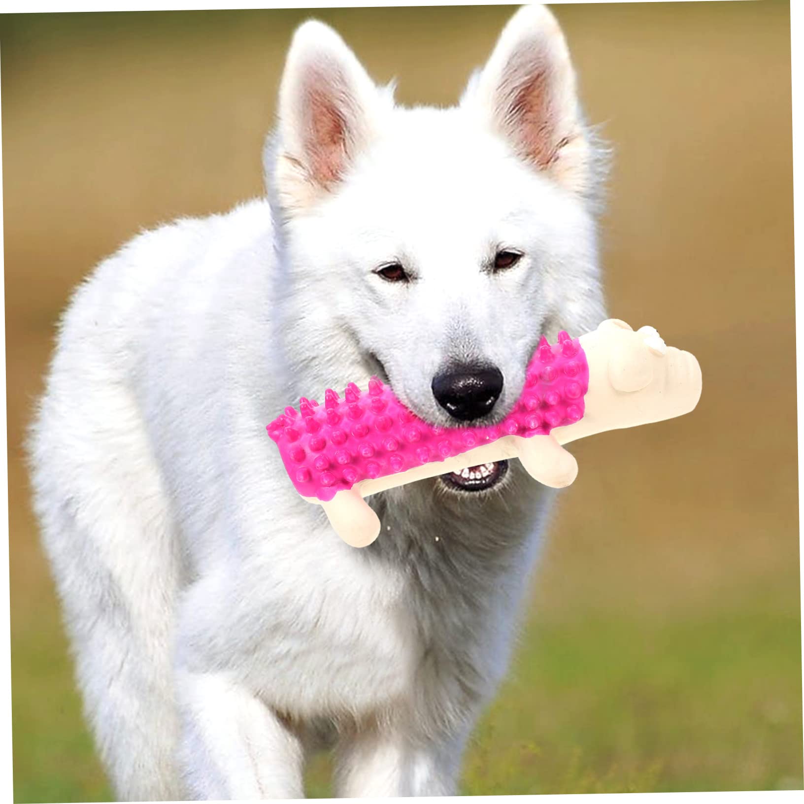 Milisten Pet Latex Toys Dog Molar Plaything Dog Chew Plaything Dog Squeaky Toy Latex Pet Toy Vocalizing Dental Care Toy Interactive Puppy Toy Dog Molar Toy Puppy Chew Toy Dog Supply