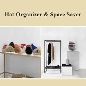 AAQR 2-Pack Hat Racks for Wall Closet, Compact Hat Organizer for Baseball Caps, Hat Storage Wall Closet for 30 Baseball Caps, Space Saver, Metal (Line Black)