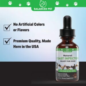 Natural Itch & Yeast Infection Treatment for Dogs | Helps to Reduce Itching, Scratching, & Much More | Dog Ear Infection Treatment | Dog Itch Relief | Dog Yeast Ear Infection Treatment | 1 fl oz