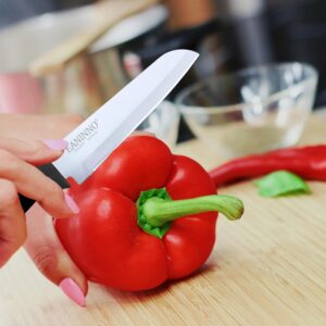 EANINNO Paring Knife Set-4 Paring Knives 4 Cover, Upgraded 3.8 inch Small Peeling Fruit Knife Stainless Steel Kitchen Sharp Cutting Vegetable with Sheath Thickened Blade Handle