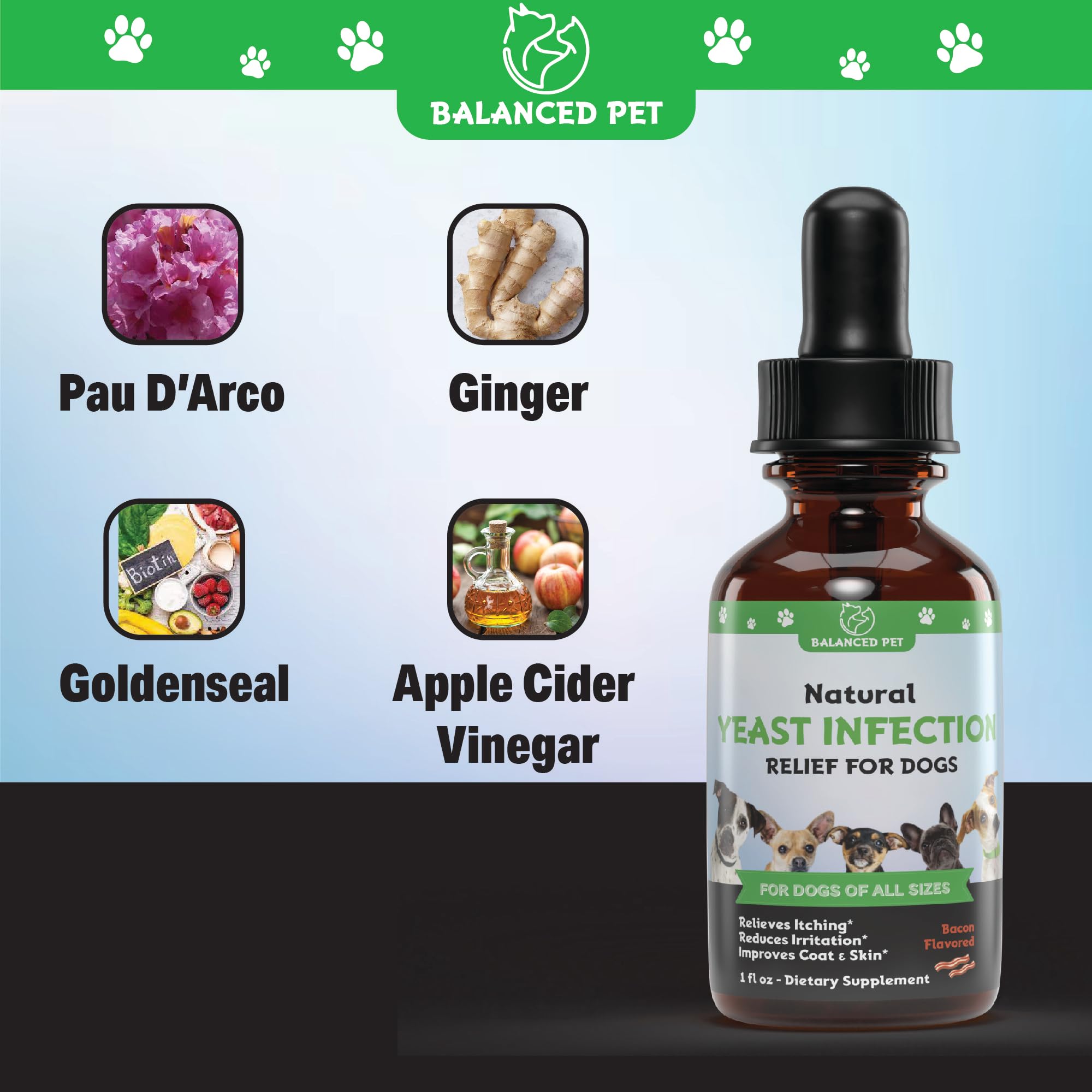 Natural Itch & Yeast Infection Treatment for Dogs | Helps to Reduce Itching, Scratching, & Much More | Dog Ear Infection Treatment | Dog Itch Relief | Dog Yeast Ear Infection Treatment | 1 fl oz