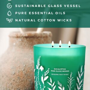 Eucalyptus Pine Clove Balsam Candle 3 Wick - Christmas Tree Scented Candle - Natural Soy Candle for Home Scented 14.5 Oz - Winter Holiday Candle Gift, Aromatherapy Stress Relief Candle for Women & Men