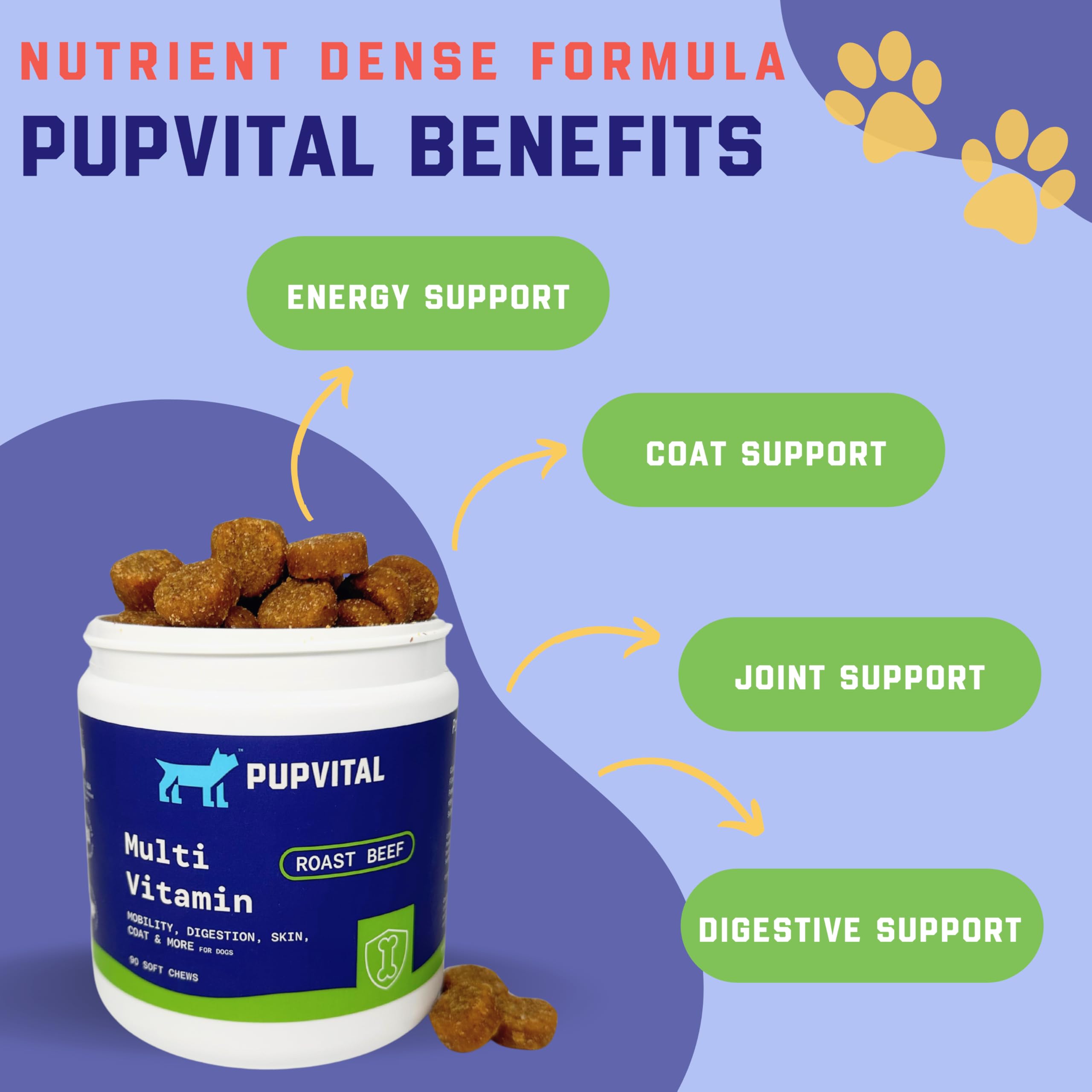 PupVital Multivitamin Treats for Dogs - Glucosamine for Joint Support + Salmon Oil for Skin & Coat Health + Immune Health - Roast Beef Flavor - 90ct