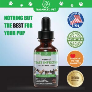 Natural Itch & Yeast Infection Treatment for Dogs | Helps to Reduce Itching, Scratching, & Much More | Dog Ear Infection Treatment | Dog Itch Relief | Dog Yeast Ear Infection Treatment | 1 fl oz