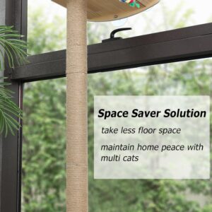 Window Cat Perch with Scratching Posts, 46" Wood Tree Bed for Large Inside Cats Climbing, Perching and Lounging, Mounted with 3 Strong Suction Cups (Wood Platform)