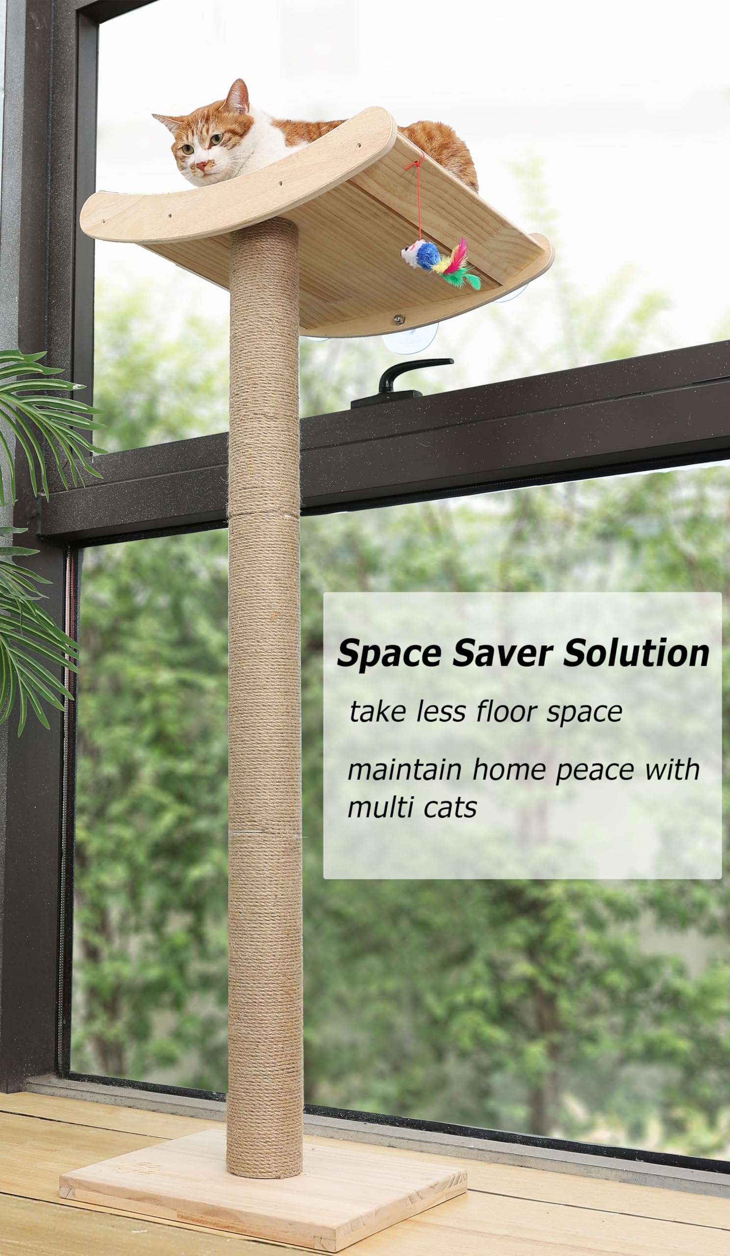 Window Cat Perch with Scratching Posts, 46" Wood Tree Bed for Large Inside Cats Climbing, Perching and Lounging, Mounted with 3 Strong Suction Cups (Wood Platform)