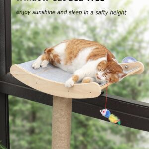 Window Cat Perch with Scratching Posts, 46" Wood Tree Bed for Large Inside Cats Climbing, Perching and Lounging, Mounted with 3 Strong Suction Cups (Wood Platform)