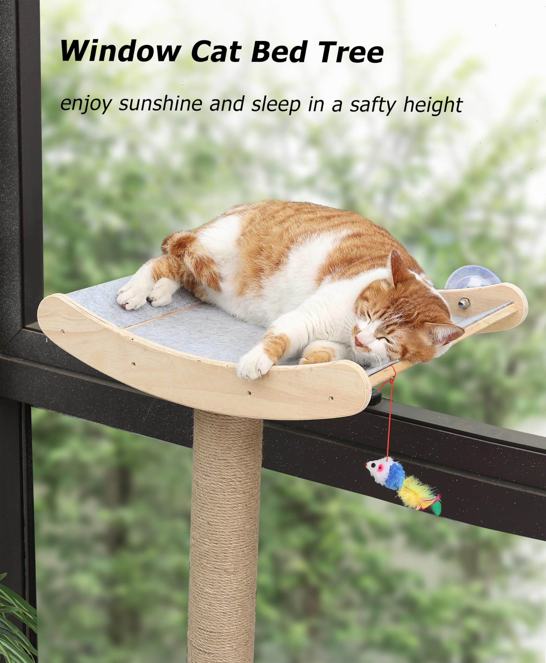 Window Cat Perch with Scratching Posts, 46" Wood Tree Bed for Large Inside Cats Climbing, Perching and Lounging, Mounted with 3 Strong Suction Cups (Wood Platform)